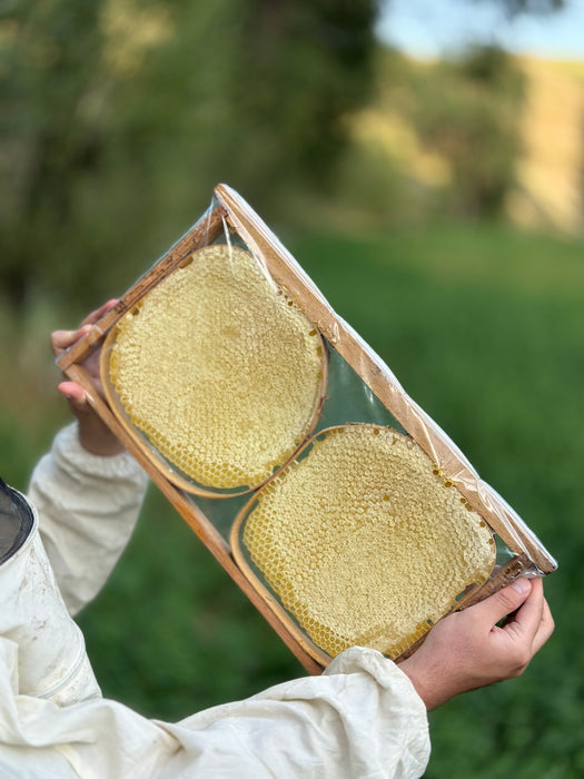 KARAKOVAN BALI (ÇİTA ÜZERİNDEN)